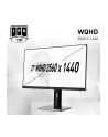 msi Monitor 27 cali PRO MP273QP FLAT/IPS/WQHD/75Hz/4ms - nr 12