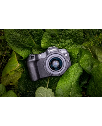 canon Korpus EOS R8 5803C003 nr 1