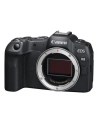 canon Korpus EOS R8 5803C003 - nr 36
