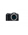 canon Aparat bezlusterkowy EOS R8+RF 24-50MM F4.5- 6.3 IS STM 5803C013 - nr 24