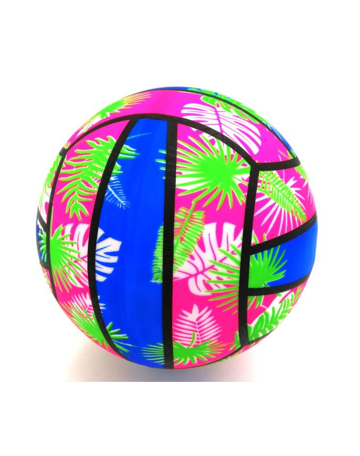 phi promotions bv Piłka gumowa siatkowa 15cm ENERO HAWAII 1045382 główny