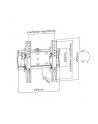 gembird Uchwyt ścienny do telewizora (regulowany), 23 cale-42 cale - nr 3