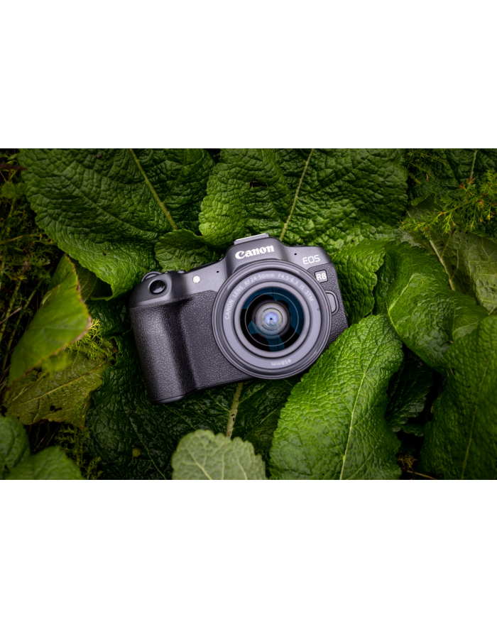 canon Korpus EOS R8 5803C003 główny