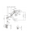 gembird Ramię/uchwyt na monitor biurkowe, regulowane  od 17 cali do 32 cale, obciążenie do 9 kg - nr 12