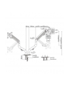 gembird Ramię na dwa monitory biurkowe (regulowane), od 17 cali do 32 cali, obciążenie do 8kg - nr 12
