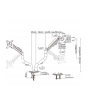 gembird Ramię na dwa monitory biurkowe (regulowane), od 17 cali do 32 cali, obciążenie do 8kg - nr 3