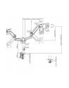 gembird Ramię/uchwyt na dwa monitory biurkowe, regulowane  od 17 cali do 32 cale, obciążenie do 9 kg - nr 11