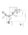 gembird Ramię/uchwyt na dwa monitory biurkowe, regulowane  od 17 cali do 32 cale, obciążenie do 9 kg - nr 3