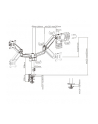 gembird Ramię/uchwyt na dwa monitory biurkowe, regulowane  od 17 cali do 32 cale, obciążenie do 9 kg - nr 9