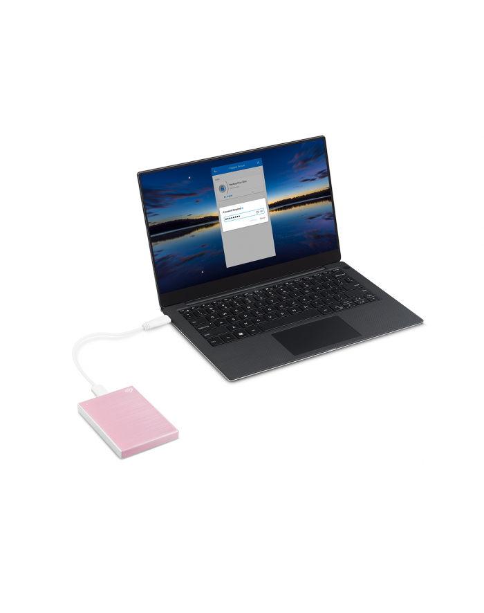 SEAGATE One Touch 2TB External HDD with Password protection Rose Gold główny
