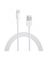 Apple Przewód ze złącza Lightning na USB (2m) MD819ZM/A - nr 7