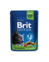 Brit Cat Pouches Chicken SLICES FOR Sterilised 100g - nr 1
