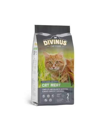 Divinus Cat Meat dla kotów dorosłych 2kg