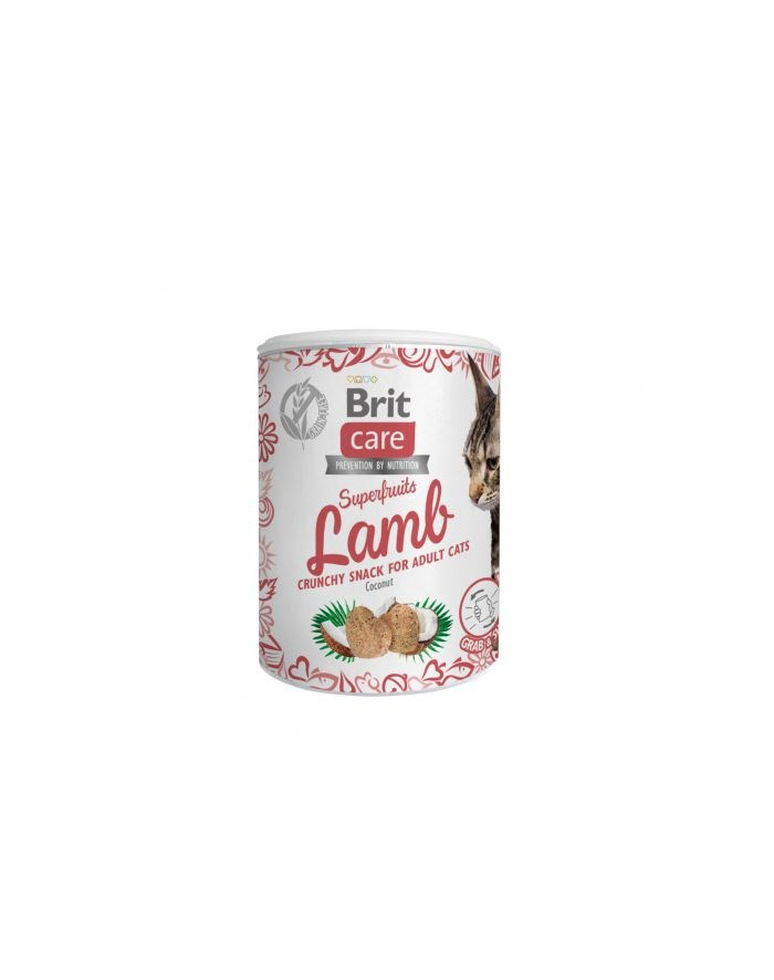 Brit Care Cat Snack Superfruits Lamb 100g główny