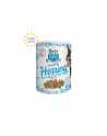 Brit Care Cat Snack Superfruits HERRING 100g - nr 1