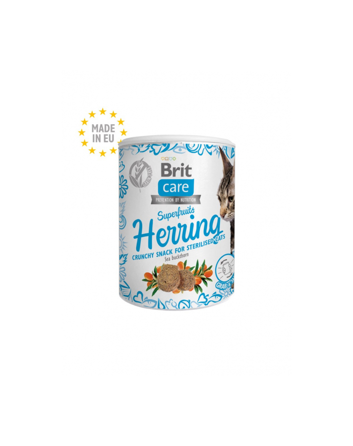 Brit Care Cat Snack Superfruits HERRING 100g główny