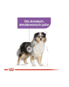 Royal Canin CCN Medium Sterilised Adult Dog 12kg - nr 3