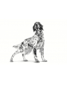 Royal Canin Hypoallergenic 2kg - nr 2