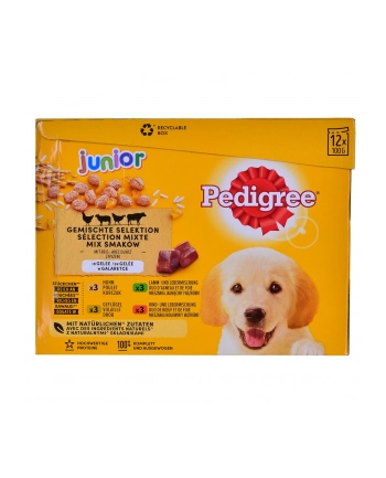 PEDIGREE Junior saszetka karma w galarecie dla psa12X100g nr 2