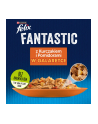 purina nestle Karma Felix Fantastic Kurczak, Pomidor 85g - nr 9
