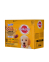 PEDIGREE Junior saszetka karma w galarecie dla psa12X100g - nr 1