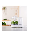 Rozdrabniacz do warzyw Black+Decker BXCH120E (120W) - nr 9