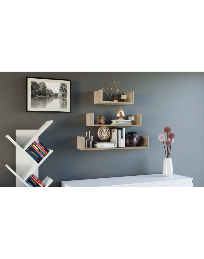 top e shop Zestaw 3 x półka wisząca MOBI 3P 80x20xH14 sonoma główny