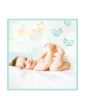 Pampers Pieluchy Premium Monthly Box S5 148 - nr 2