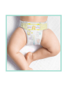 Pampers Pieluchy Premium Monthly Box S5 148 - nr 4