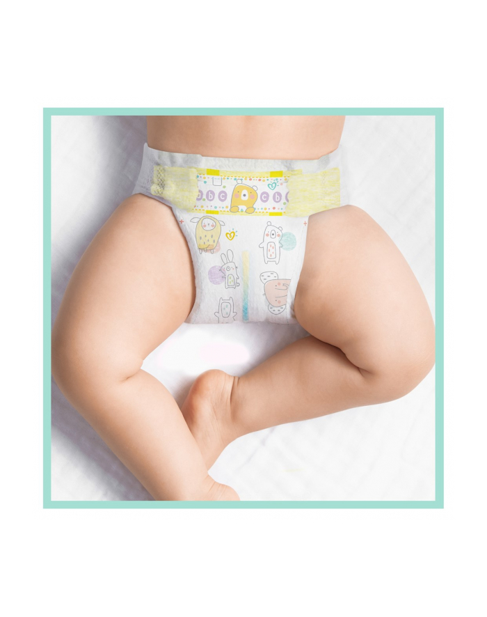 Pampers Pieluchy Premium Monthly Box S5 148 główny