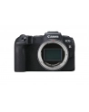 Canon EOS RP Kolor: CZARNY - without adapter - nr 21