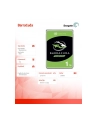 seagate Dysk BarraCuda 1TB 3,5 256MB ST1000DM014 - nr 4