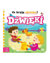 aksjomat Książeczka Co kryją okienka? Dźwięki - nr 1