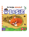 aksjomat Książeczka Co kryją okienka? W lesie - nr 1