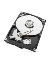 seagate Dysk BarraCuda 1TB 3,5 256MB ST1000DM014 - nr 17