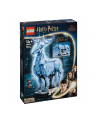 LEGO 76414 HARRY POTTER Expecto Patronum p3 - nr 10