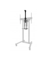 neomounts by newstar Uchywt na wideobar i zestaw multimedialny AFL-875BL1 - nr 49
