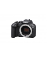 Canon EOS R10 body - nr 12