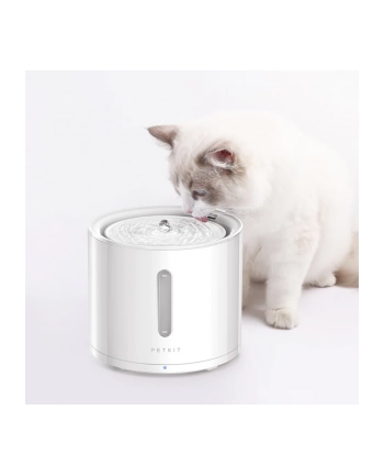PETKIT Fountain CT-W2 Eversweet Solo 2 Pojemność 2l biały nr 1
