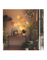 Nanoleaf Elements Hexagons Starter Kit 13 paneli (NL52-K-3002HB-13PK) - nr 10