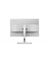 LENOVO L24m-40 23.8inch IPS FHD 100Hz 250cd/m2 4ms HDMI USB typ C Pivot Speakers - nr 12