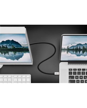 Goobay adapter USB-C do DisplayPort, 2 m (60176) nr 2