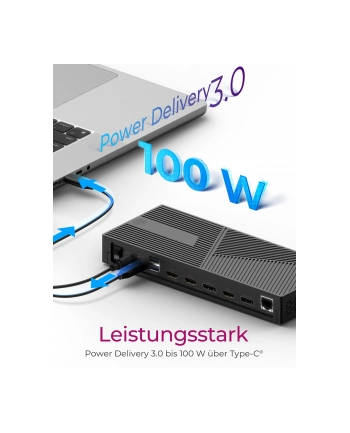 icybox Stacja dokująca IB-DK2246-C 11in1,HDMI,DP,LAN,TYPE-C
