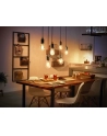 PHILIPS HUE E27 W 7.2W Filament ST64 (929003051701) - nr 13
