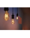 PHILIPS HUE E27 W 7.2W Filament ST64 (929003051701) - nr 2