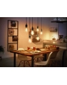 PHILIPS HUE E27 W 7.2W Filament ST64 (929003051701) - nr 3