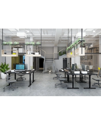 DIGITUS Height Adjustable Standing Desk Frame Dual motor 3-stages Kolor: CZARNY nr 1