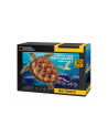 dante Puzzle 3D Żółw wodny DS1080H Cubic Fun - nr 4
