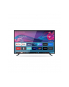 allview Telewizor 43 cale LED 43IPLAY6000-U - nr 1