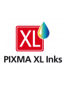 CANON PG-560XLx2/CL-561XL Ink Cartridge MULTI - nr 16